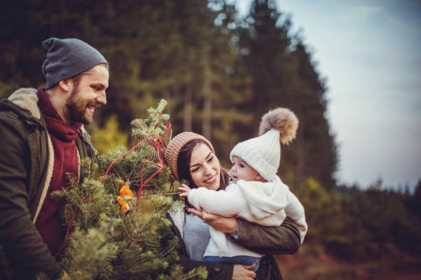 istock Happy parents with their daughter picking out a Christmas tree 1045458034