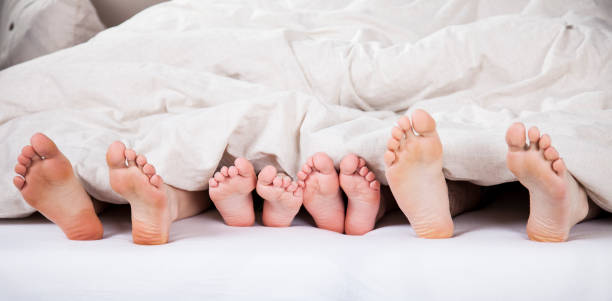 Family feet in bed Dad, mom, boy and girl lying in bed under blanket showing only their feet. Morning scene of family in bed.Dad, mom, boy and girl lying in bed under blanket showing only their feet. Morning scene of family in bed. bed human foot couple two parent family stock pictures, royalty-free photos & images