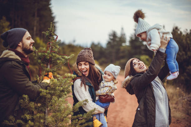istock Beautiful day at Christmas tree farm 1045482402