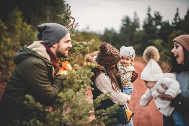 istock Beautiful day at Christmas tree farm 1045483368