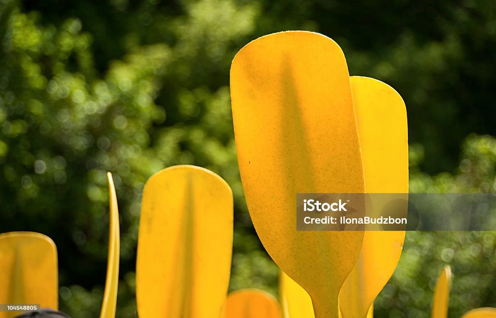 Amarelo Caiaque Paddles Oars - Royalty-free Amarelo Foto de stock