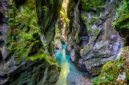 Crystal clear emerald mountain river flows between rocks in a deep canyon in Triglav national park, Slovenia.