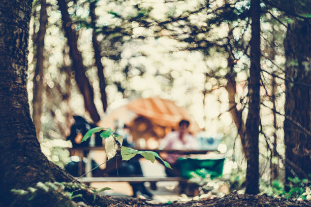 Scene of a quiet day on a campground. Photo with selective focus.