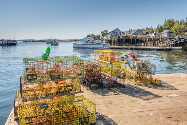 Lobster Traps stock photo