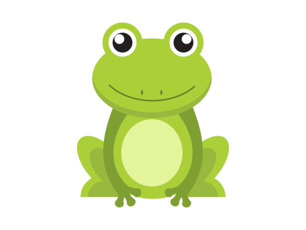 niedlichen grünen frosch-cartoon-figur isoliert auf weißem hintergrund - bullfrog frog amphibian wildlife stock-grafiken, -clipart, -cartoons und -symbole