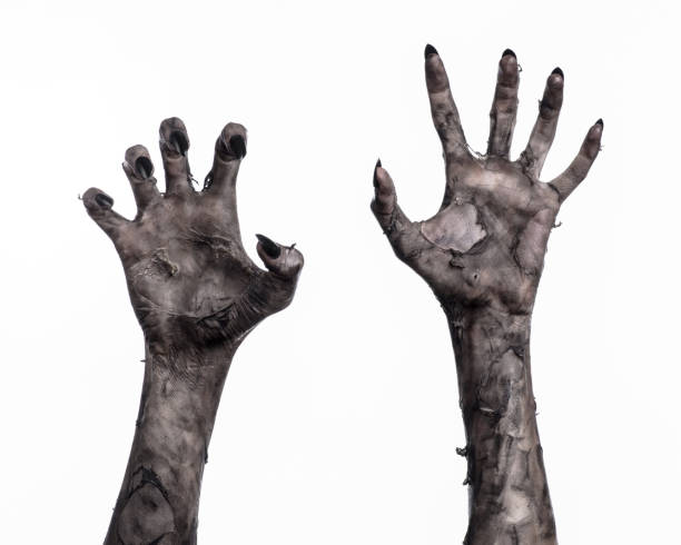 black hand of death, the walking dead, zombie theme, halloween theme, zombie hands, white background, isolated, hand of death, mummy hands, the hands of the devil, black nails, hands monster black hand of death, the walking dead, zombie theme, halloween theme, zombie hands, white background, isolated, hand of death, mummy hands, the hands of the devil, black nails, hands monster zombie stock pictures, royalty-free photos & images