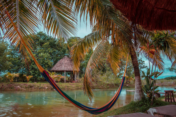 istock Hammok on a tropical paradise in Mexico 1045532800