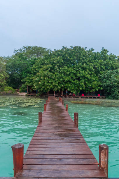 istock Dock in a lake, trees and blue sky in Mexico 1045533044