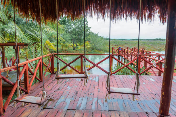 istock Swings in a tropical cabin in Mexico 1045533286