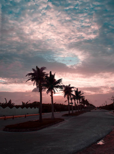 istock Tropical landscape of palm tree silhouettes on a sunset 1045533540