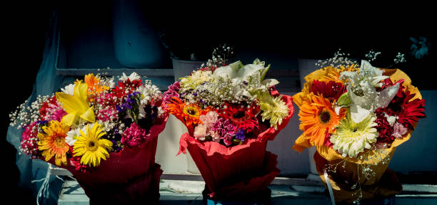 istock Beautiful flowers of various types 1045536468