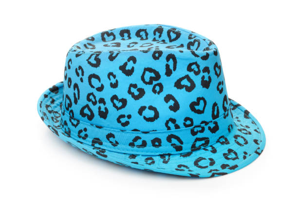 青い斑点を付けられたフェルト帽帽子 - headware ストックフォトと画像