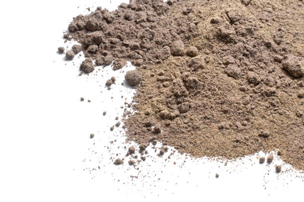 istock Pile of ground black pepper on white background 1045547172