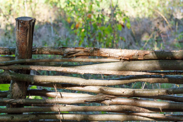 istock Landscape with wattle fence 1045547232