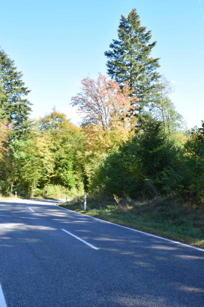 istock autumn road serpentine 1045547468