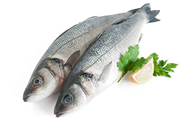Arrangement of two sea basses with parsley and lemon stock photo