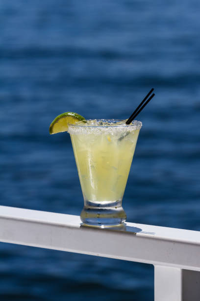 istock tropical cocktails on the water 1045551508