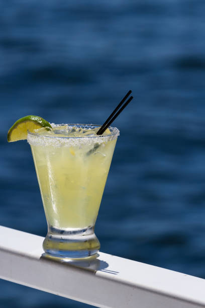 istock tropical cocktails on the water 1045551646