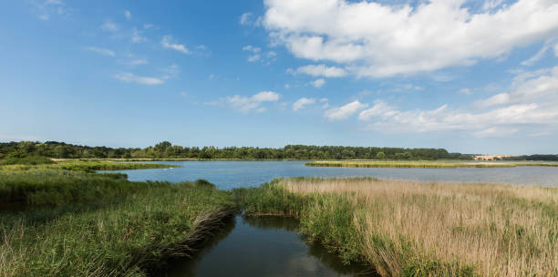 istock A lake with water plants on a cloudy summer day, Rugen Germany 1045556426