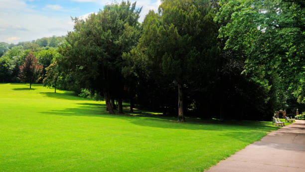 istock Summer park, green meadow and blue sky. 1045556674