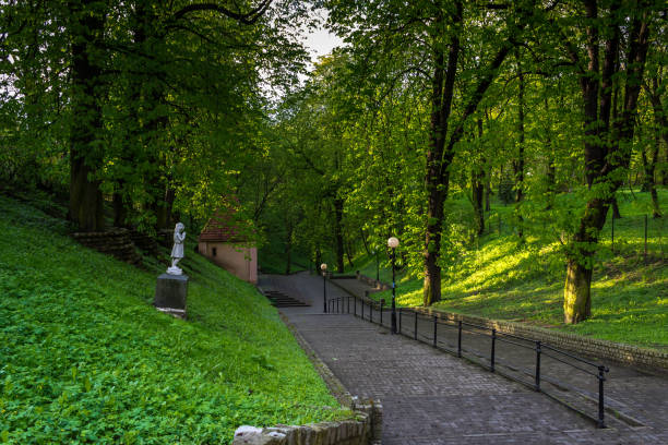 Park alleys wrapped in the spring sun