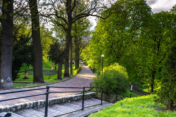 istock Park in a green robe, located in Chelmno, Poland 1045560148