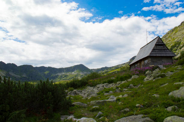 istock Tatra Mountains in Poland 1045563422