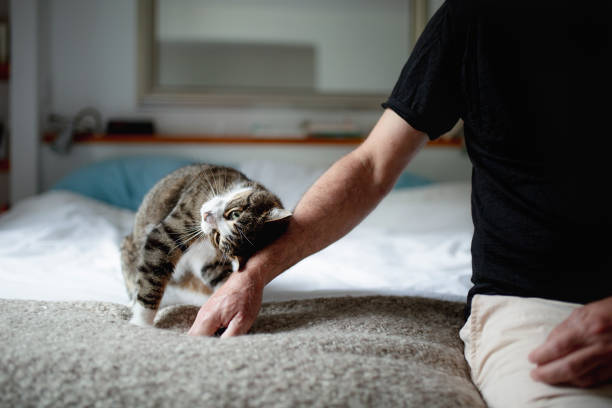 istock A mature man and his cat 1045571046