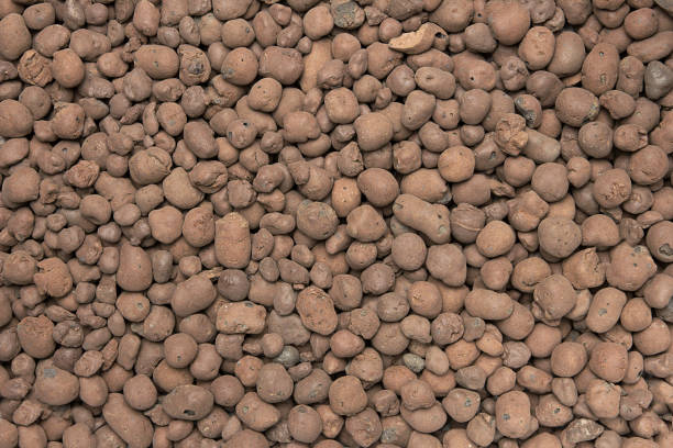 Heat expanded clay pebbles used as a growing media in hydroponics. Background close up of pellets. stock photo