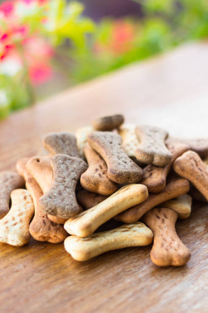 istock Dog tasty colored biscuits on wooden background 1045571072