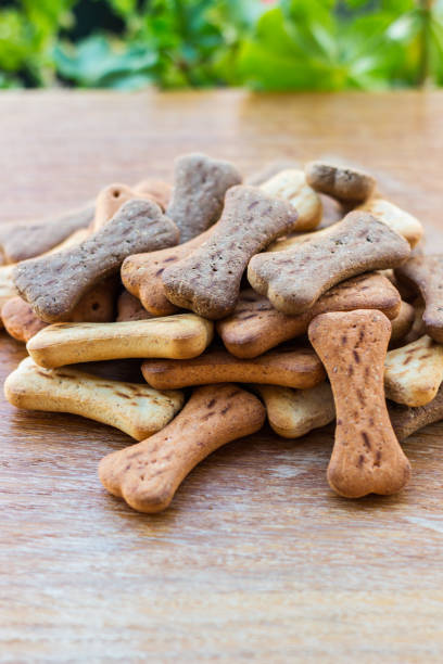 istock Dog tasty colored biscuits on wooden background 1045571202