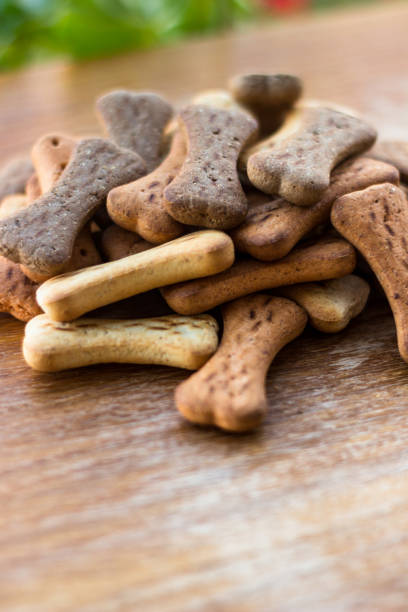 istock Dog tasty colored biscuits on wooden background 1045571464