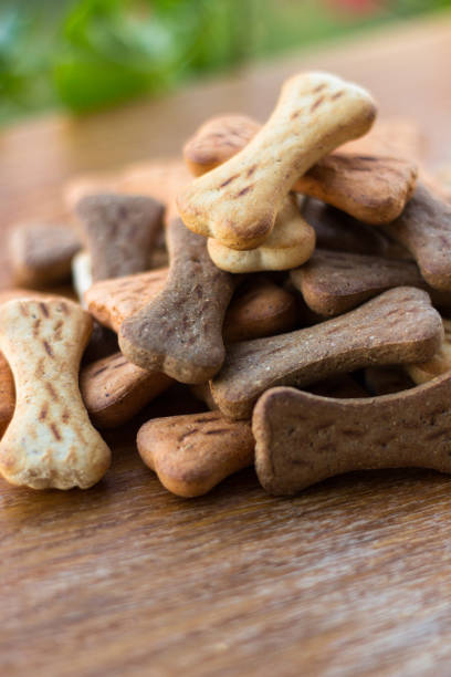 istock Dog tasty colored biscuits on wooden background 1045571646