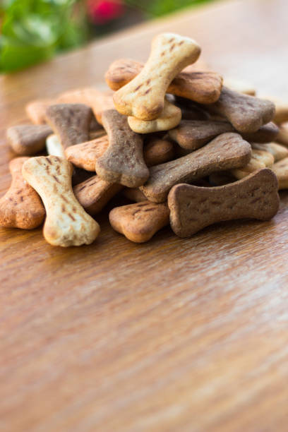 istock Dog tasty colored biscuits on wooden background 1045571854