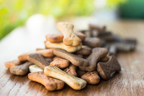 istock Dog tasty colored biscuits on wooden background 1045574338