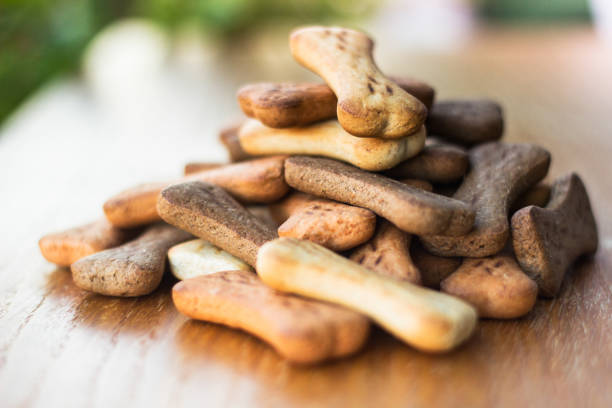 istock Dog tasty colored biscuits on wooden background 1045574352