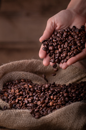 Crop close-up view of hands with coffee beans pouring to sack