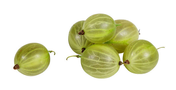 verde uva spina su sfondo bianco - gooseberry foto e immagini stock