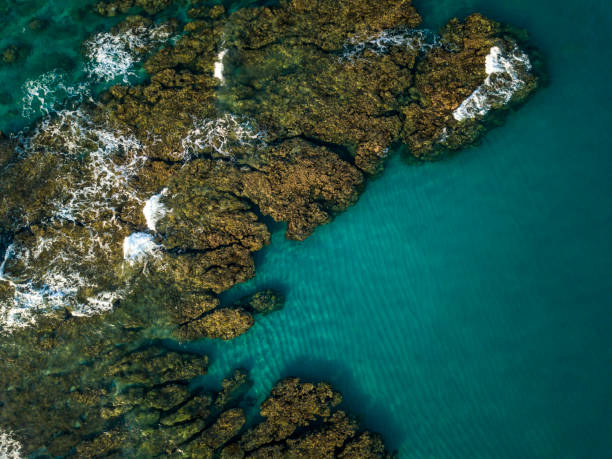 サンゴ礁、山房刊カノー、レユニオン島、マスカリン諸島 - レユニオン島 ストックフォトと画像