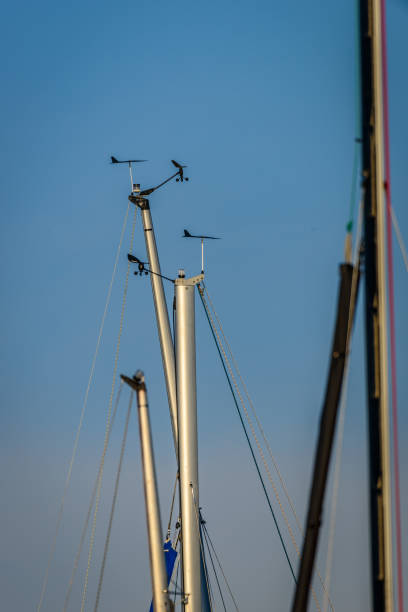 sistemas de medición de viento en mástiles de veleros - 3629 fotografías e imágenes de stock