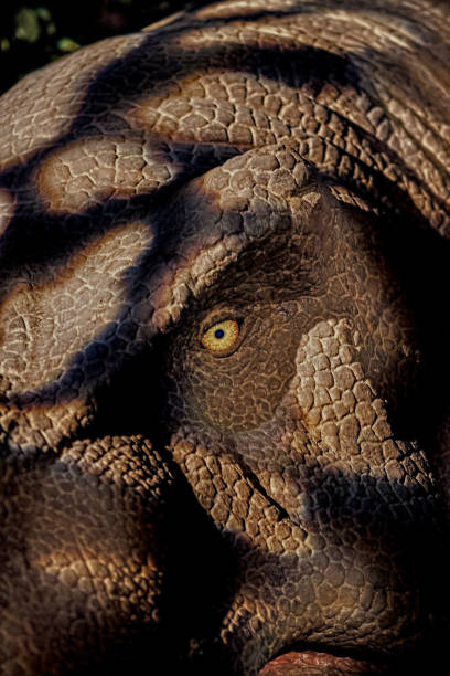 istock Monster eye. Scary creature abstract halloween background image 1045602878