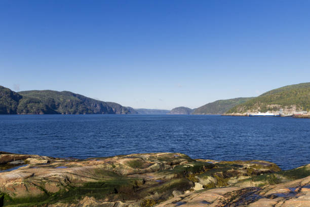 istock Whale watching in Tadoussac 1045609824