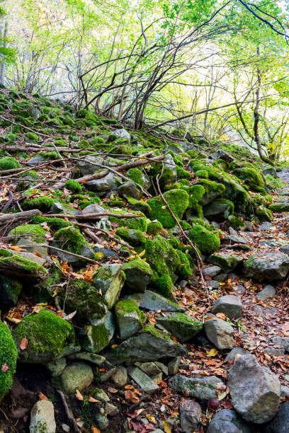 istock Mossy stones, a stone river in an autumn Bulgarian mountain forest 1045614260