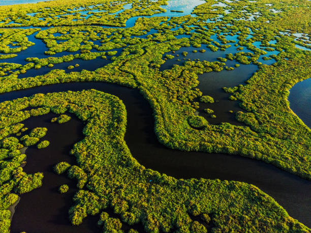 vista aérea de sorprendentes formas naturales y texturas - estero zona húmeda fotografías e imágenes de stock