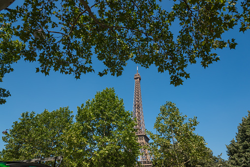 World famous Eiffel tower seen through green leaves. Paris, France