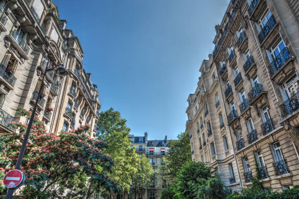 istock Elegant buildings under a clear sky in Paris 1045641604