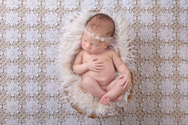 новорожденный ребенок в белом мехе - baby animal nest newborn lying down стоковые фото и изображения