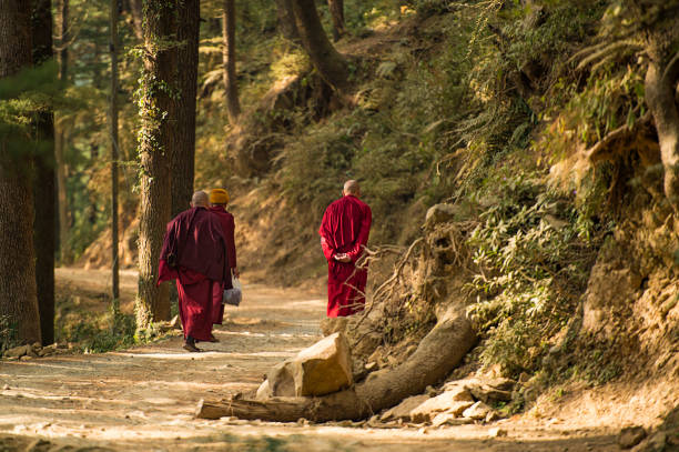 Three Buddhist monks are walking on a mountain trail in the north of India, Dharamsala, India. Three Buddhist monks are walking on a mountain trail in the north of India, Dharamsala, India. mandalay photos stock pictures, royalty-free photos & images