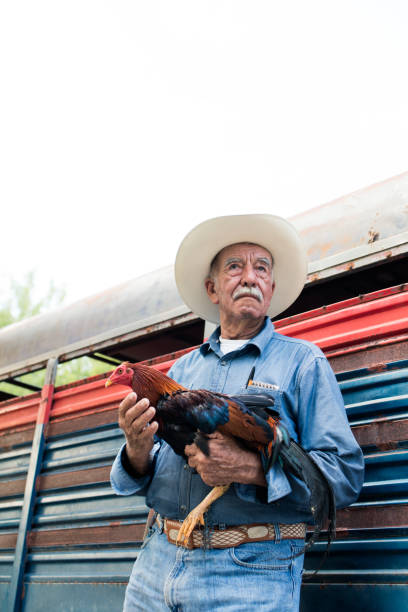 Senior mexican man standing with rooster