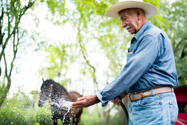 istock Senior mexican man holding hose and touching water 1045662254
